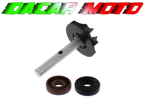 Kit revisione pompa acqua - revisione,